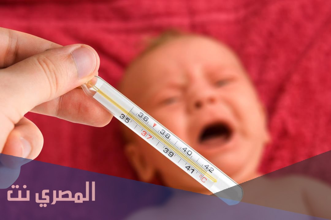كبسولات بروفوسول خافض للحرارة ومسكن للآلام وتأثيره