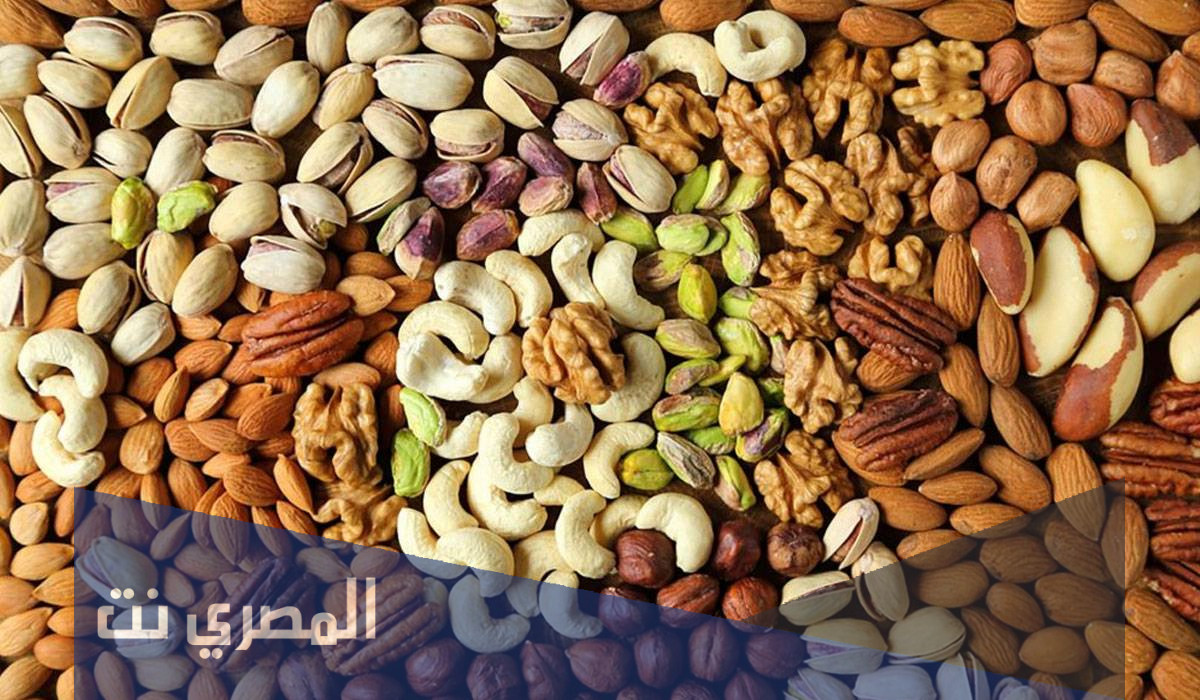 كيفية دراسة جدوى مشروع تحميص المكسرات