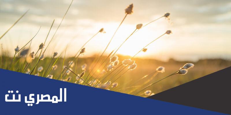 معلومات عامه عن الحياه مختصرة