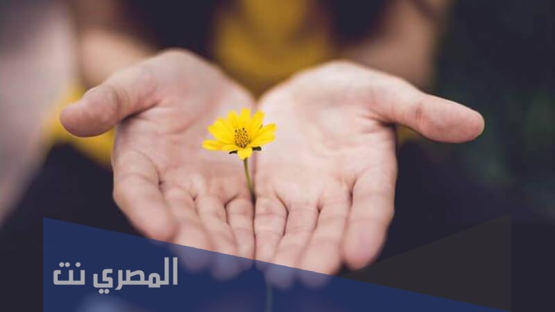 تعبير عن التسامح بين الاصدقاء بالعناصر كاملة