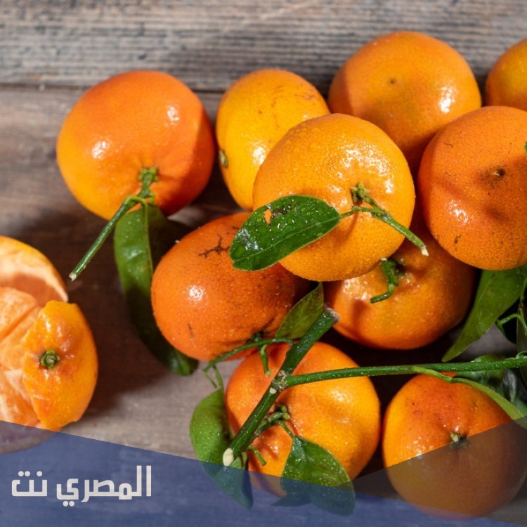 ما هو تفسير رؤية اليوسفي في المنام