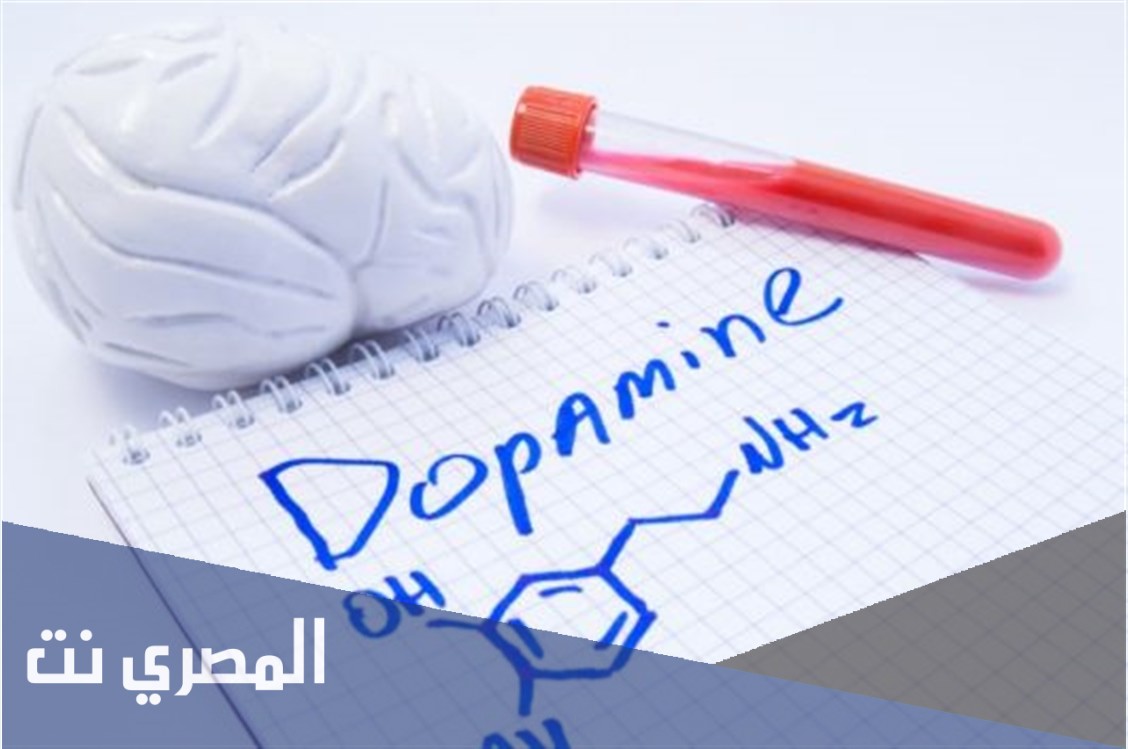 ما تأثير الدوبامين على الجهاز العصبي