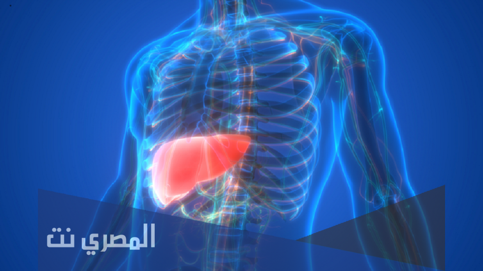 إديباكت Idibact علاج أمراض الكبد وفعاليته