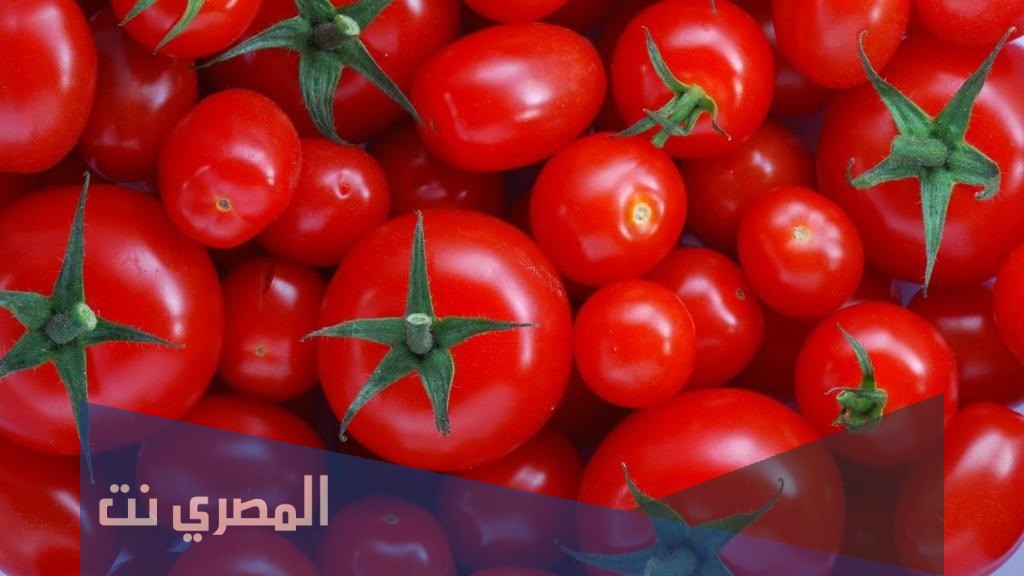 ما هو تفسير رؤية الطماطم في المنام