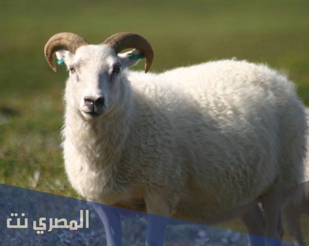 متى تقفل الدوائر الحكوميه في الحج 2021/1422