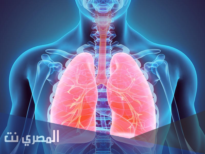 شراب بيبتون Babetone لعلاج مشاكل الجهاز التنفسي وتأثيره