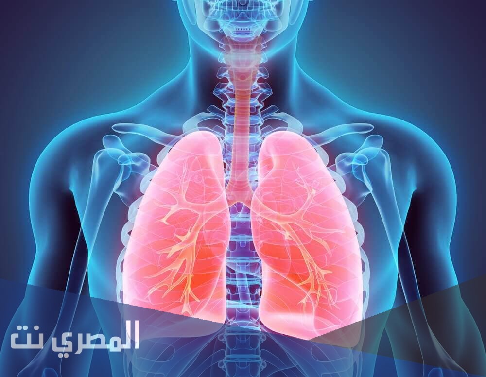 كالوبين Kalobin لتحسين وظائف الشعب الهوائية والتنفس