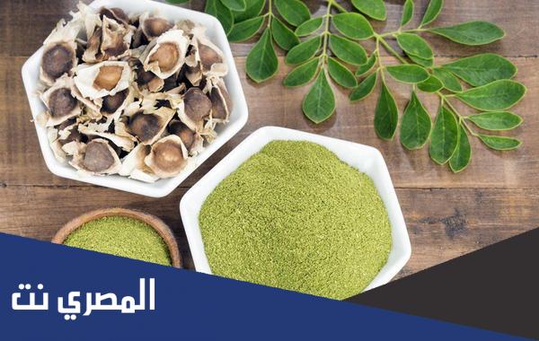 فوائد بذور نبات المورينجا