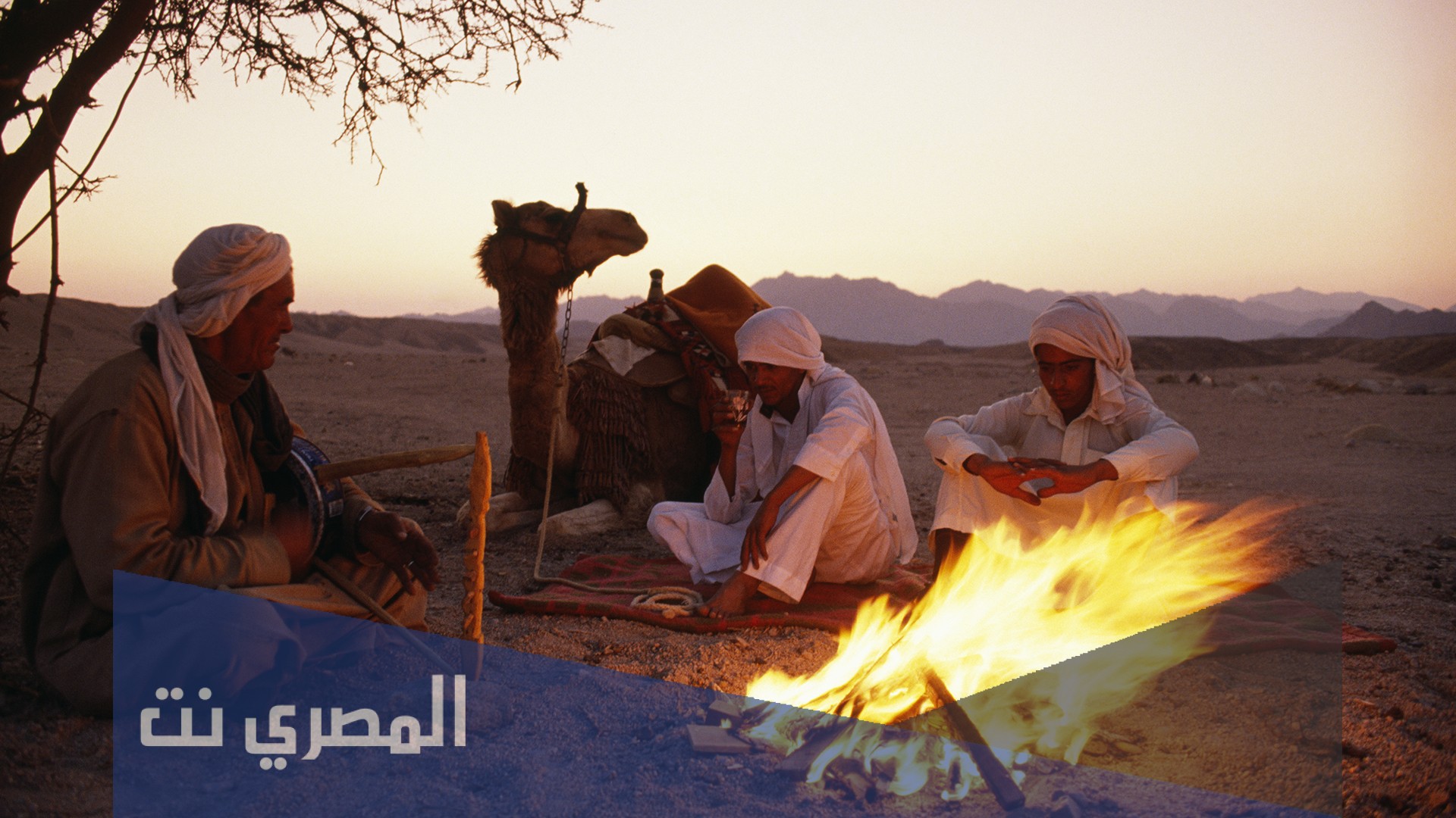 اصل عائلة الانصاري