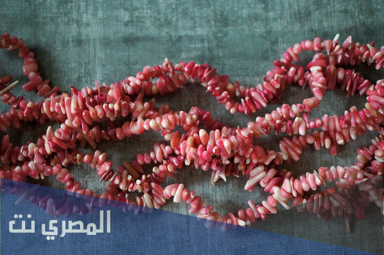كم عدد الوان احجار المرجان