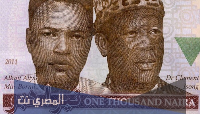 العمله التي تستخدم في نيجيريا