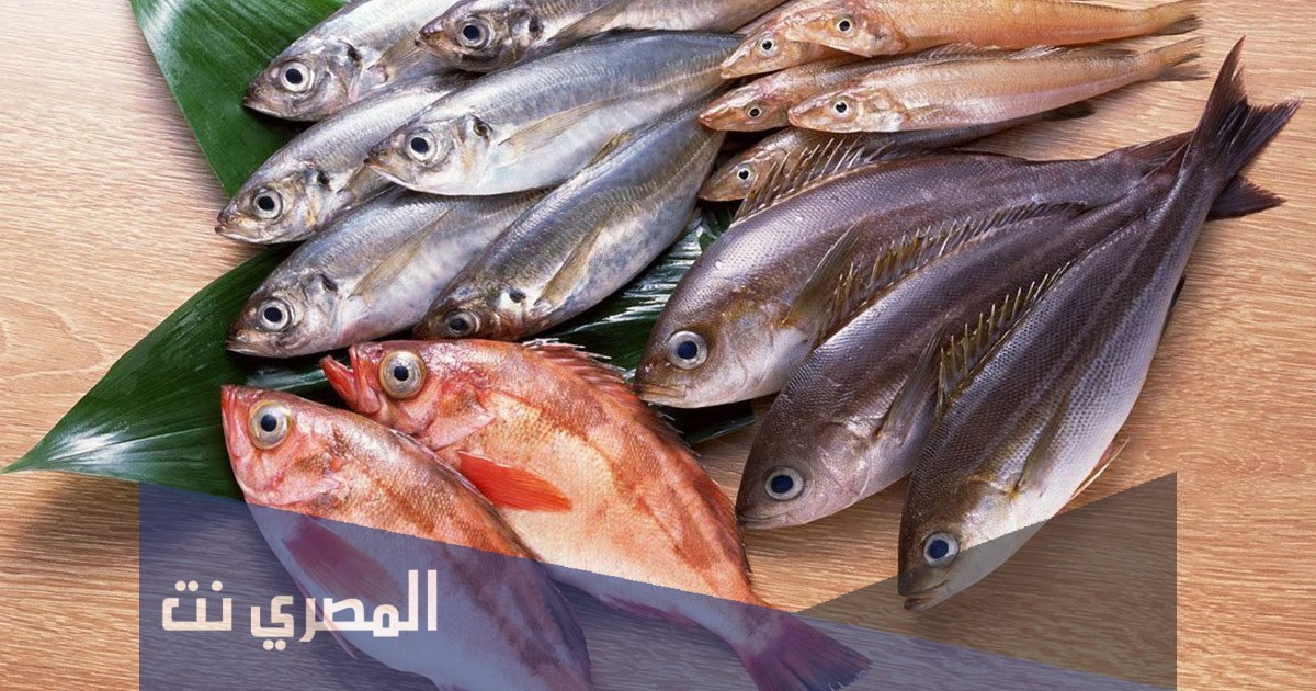 ما هو تفسير رؤية السمك في المنام