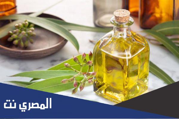 فوائد زيت الكافور للشعر