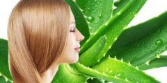 افضل وصفات الصبار للشعر الهايش