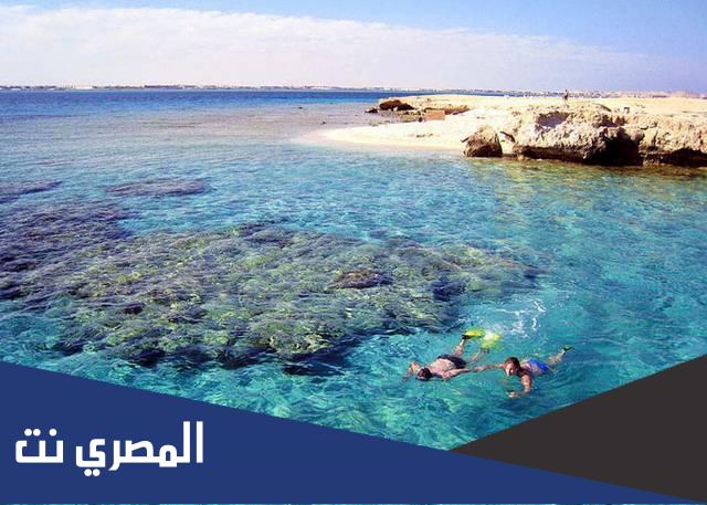 اين توجد جزيرة الجفتون بالغردقة ؟