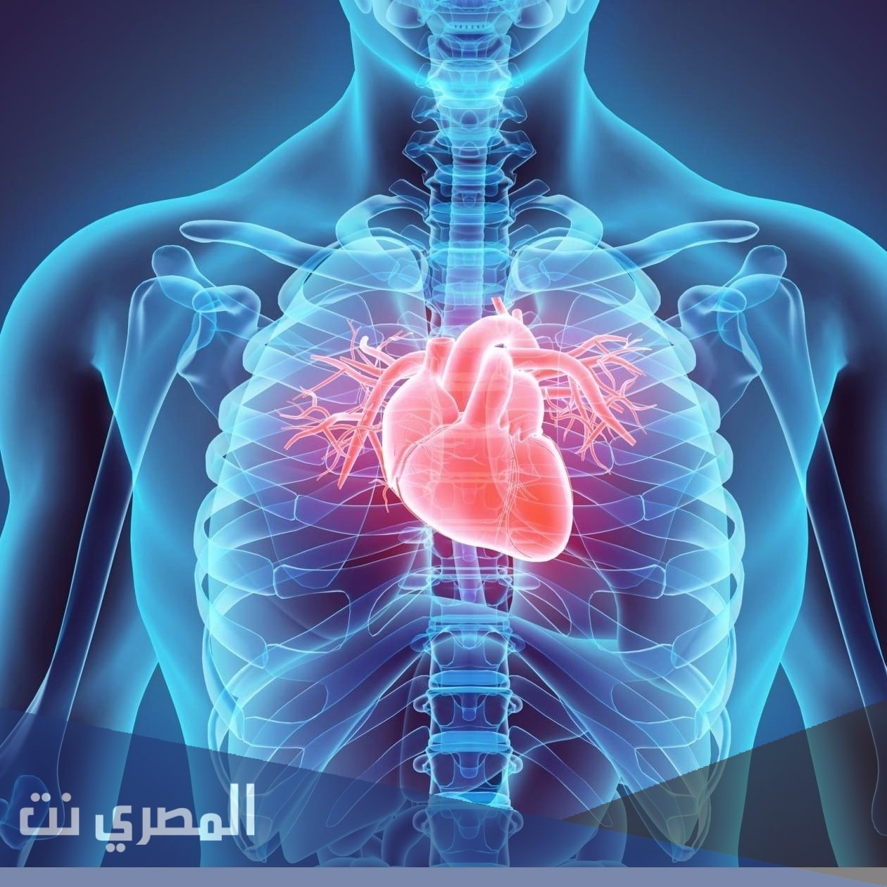 كور دارون Cordarone أقراص لتنظيم ضربات القلب وتنظيمه