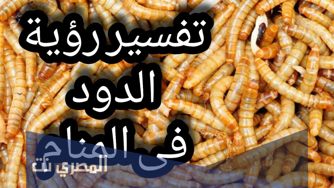 ما هو تفسير رؤية الدود في الحلم لابن سيرين