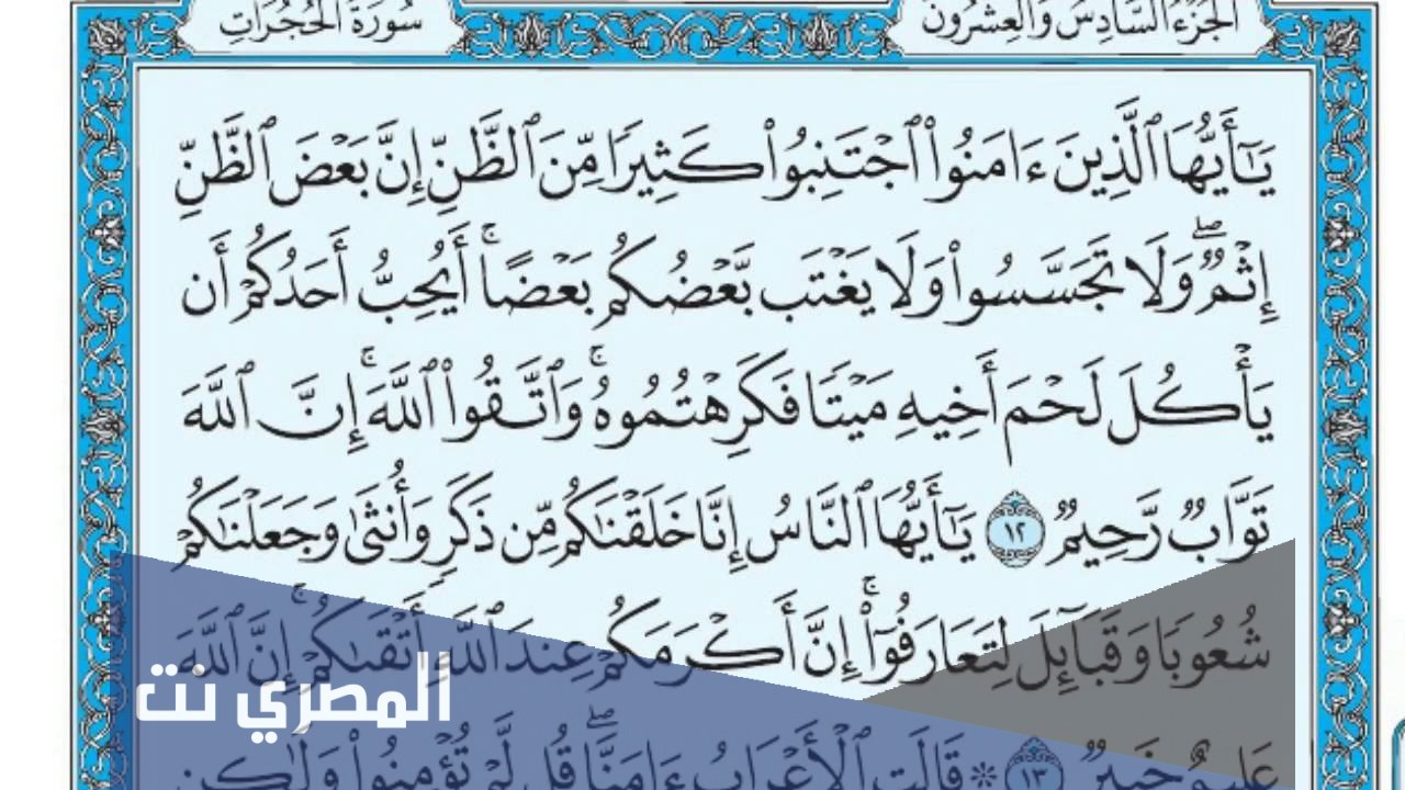 لماذا خص الله المسلمين بالنداء في سورة الحجرات