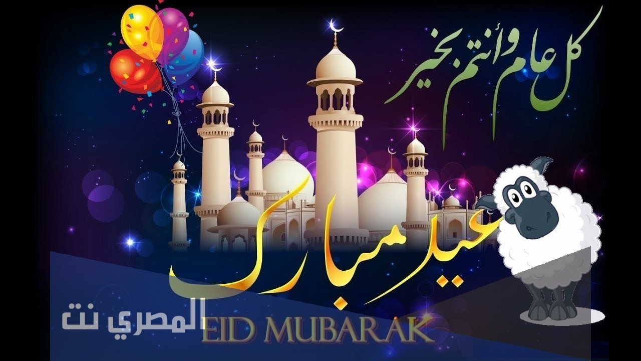 لماذا نضحي في عيد الأضحى