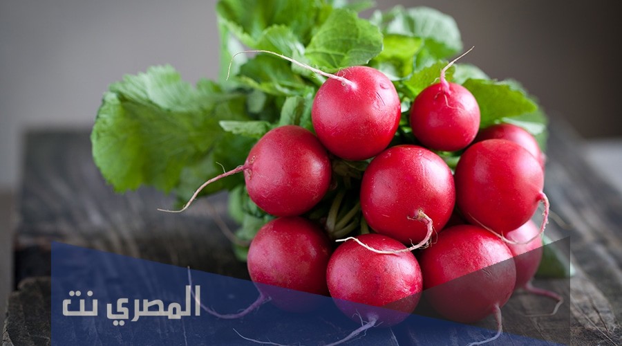 ما هي فوائد الفجل الاحمر بالتفصيل