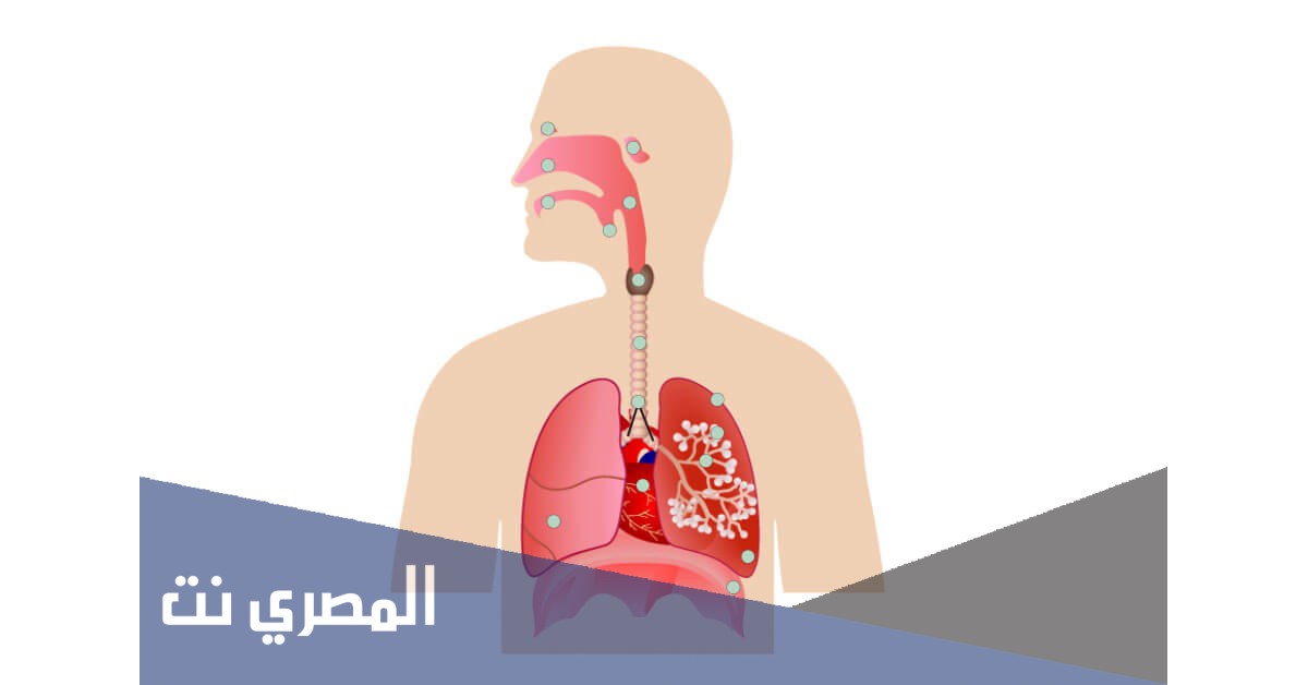 ميوكو Muco S.R لعلاج أمراض الجهاز التنفسي وتأثيره