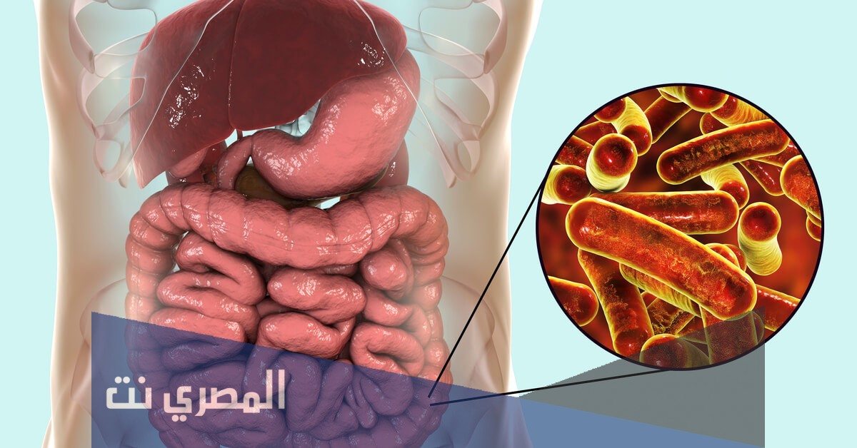 سيبازول فورت Cipazole Forte لعلاج الأميبا المعوية وتأثيره