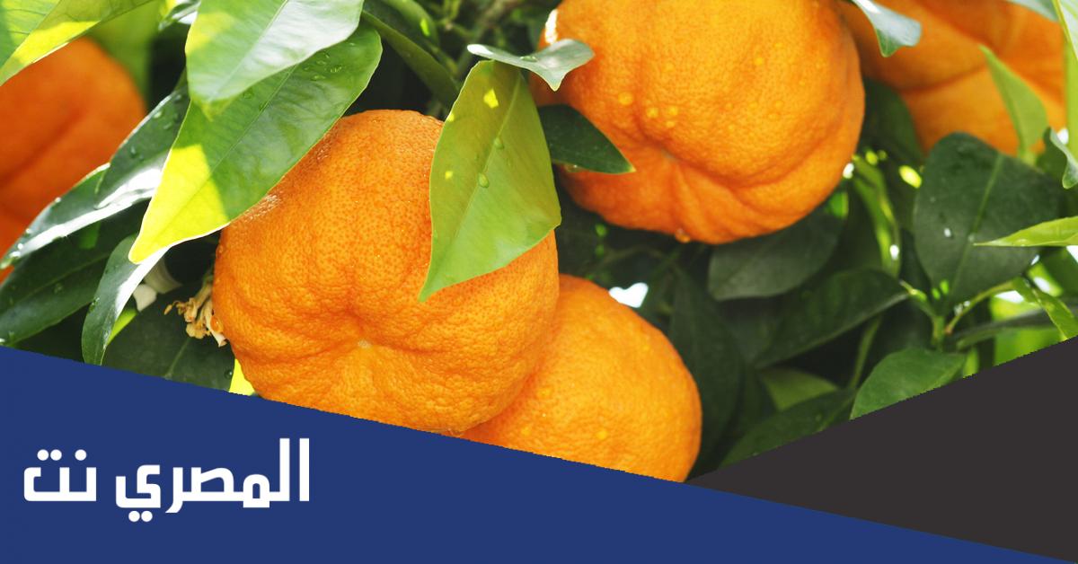 فوائد واضرار اللارنج
