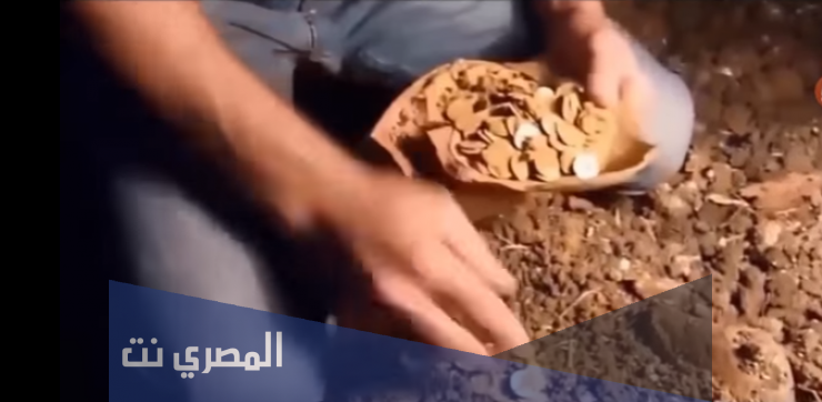 اي عام تم اكتشاف الذهب