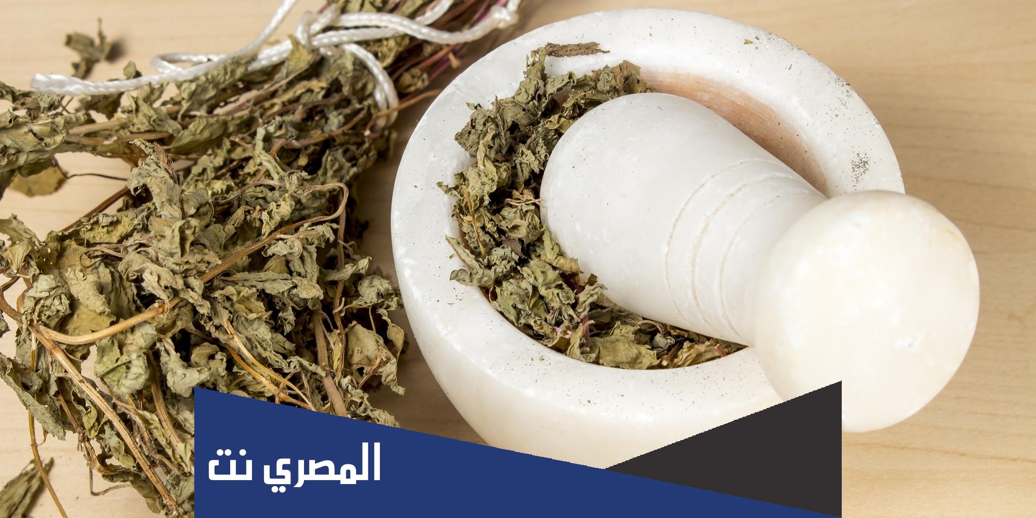 أسماء أعشاب تسبب الإجهاض فورًا