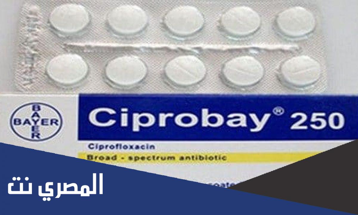 أضرار دواء سيبروباي Ciprobay ومتي يبدأ مفعوله