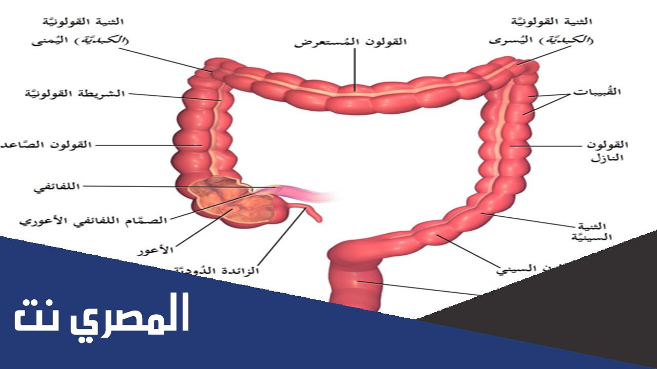 أعراض القولون العصبي النفسي وعلاجه نهائيًا
