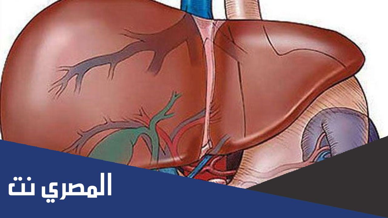 أفضل طريقة للتخلص من الدهون على الكبد