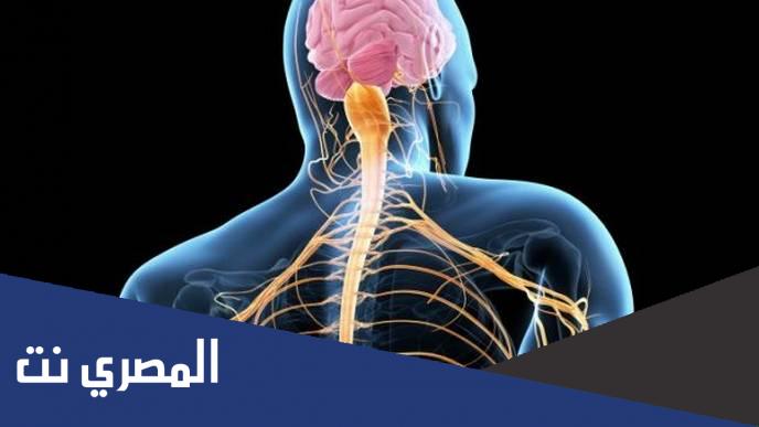 ما هي الامراض التي تصيب الجهاز العصبي