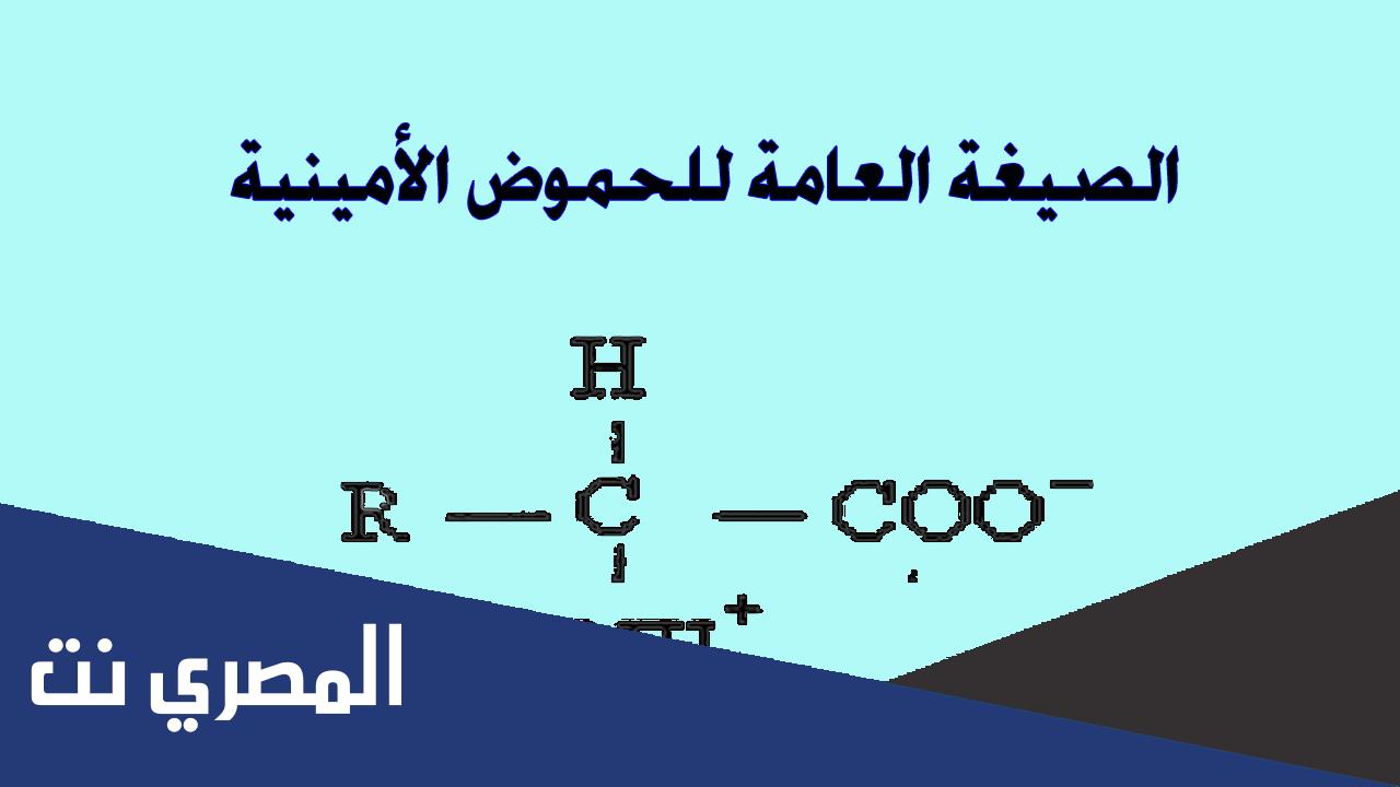 أنواع الأحماض الأمينية وفوائدها