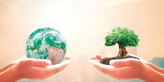 تعبير عن الأمن والأمان بالعناصر