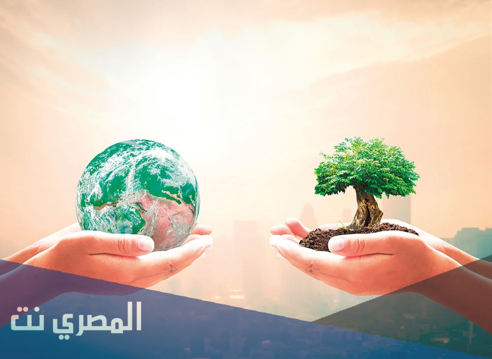 تعبير عن الأمن والأمان بالعناصر