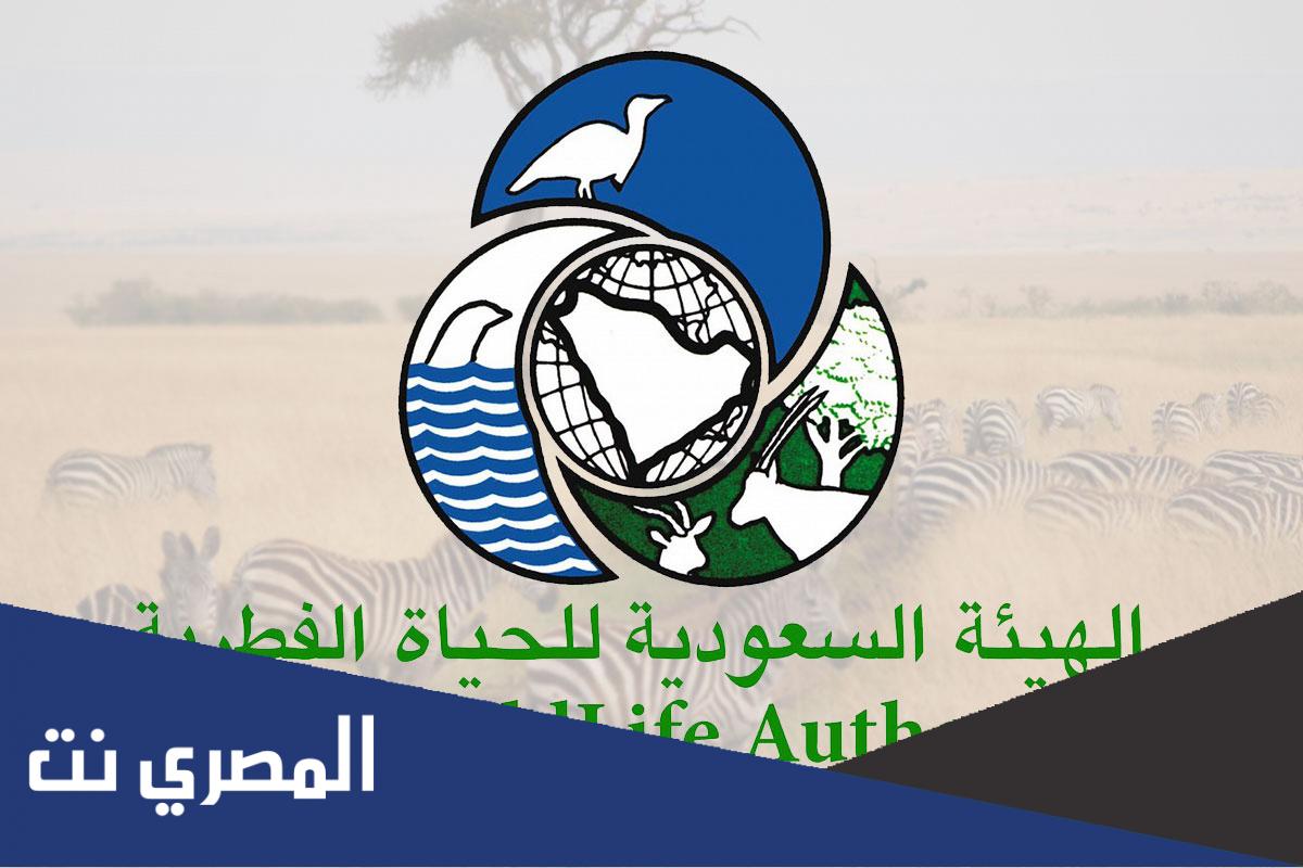 أهم المحميات التي تشرف عليها الهيئة السعودية للحياة الفطرية