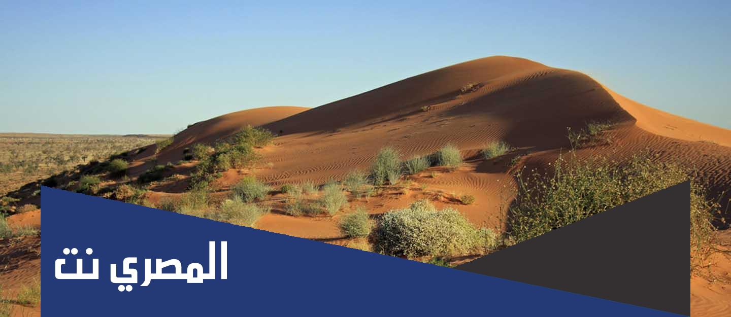 أهم نباتات الإقليم الصحراوي وخصائصها