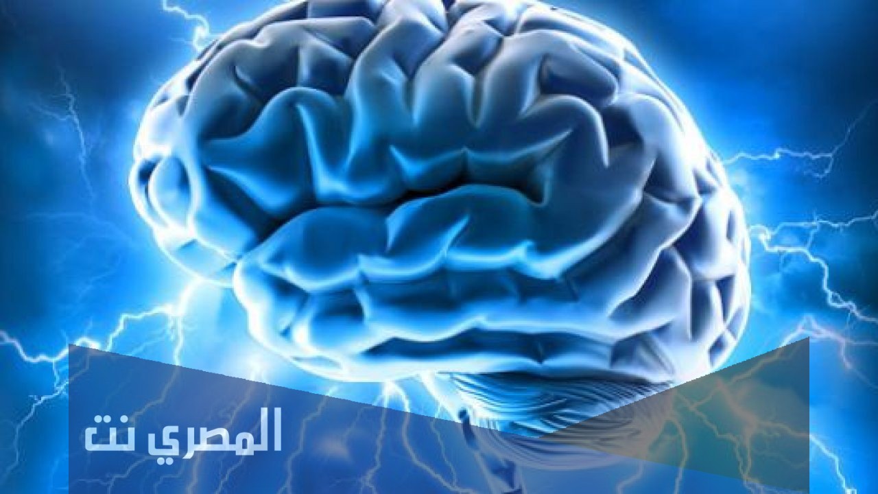 أهمية العقل ومكانته في الإسلام