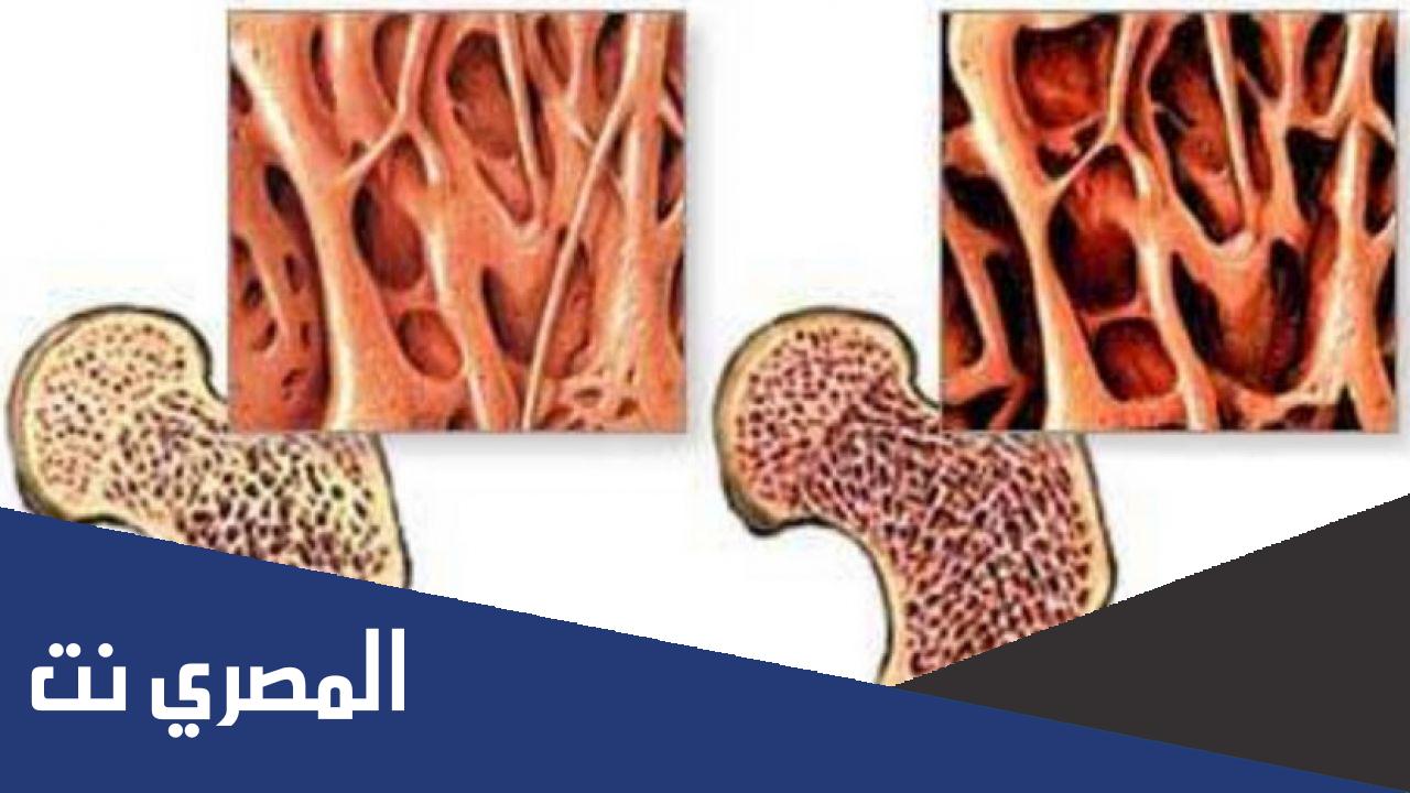 أهمية الغضاريف لعظام الجسم