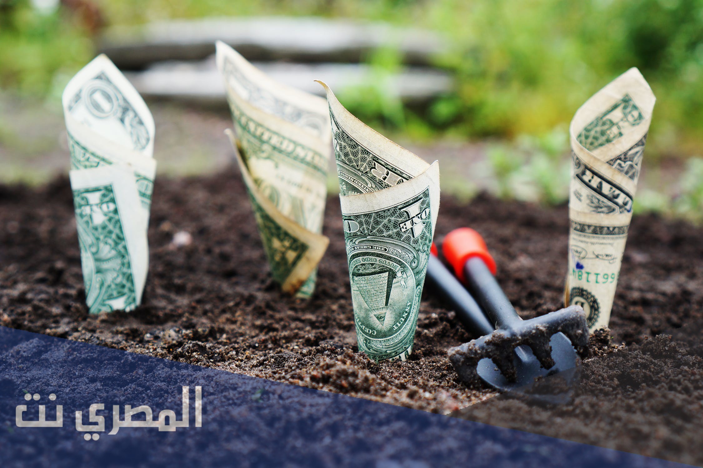 أهمية المال في الإسلام ووظيفتها