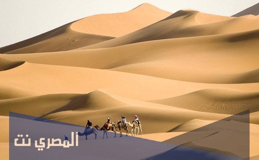 الرحيلي وش يرجع