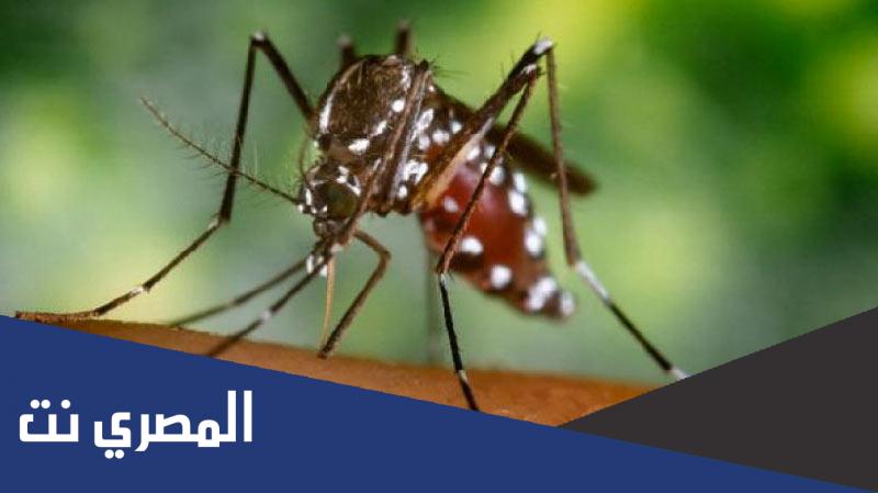 اضرار صاعق الناموس على الأطفال