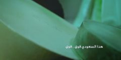 اغنية هذا السعودي فوق فوق مع الكلمات