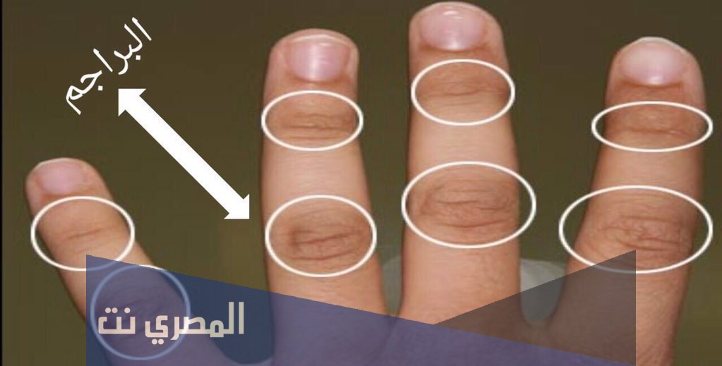 البراجم ما هي ولما نصحنا النبي بالاهتمام بها ؟