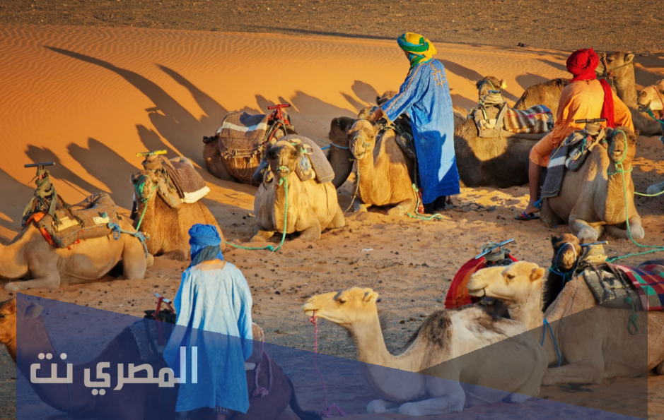 العرجاني وش يرجع