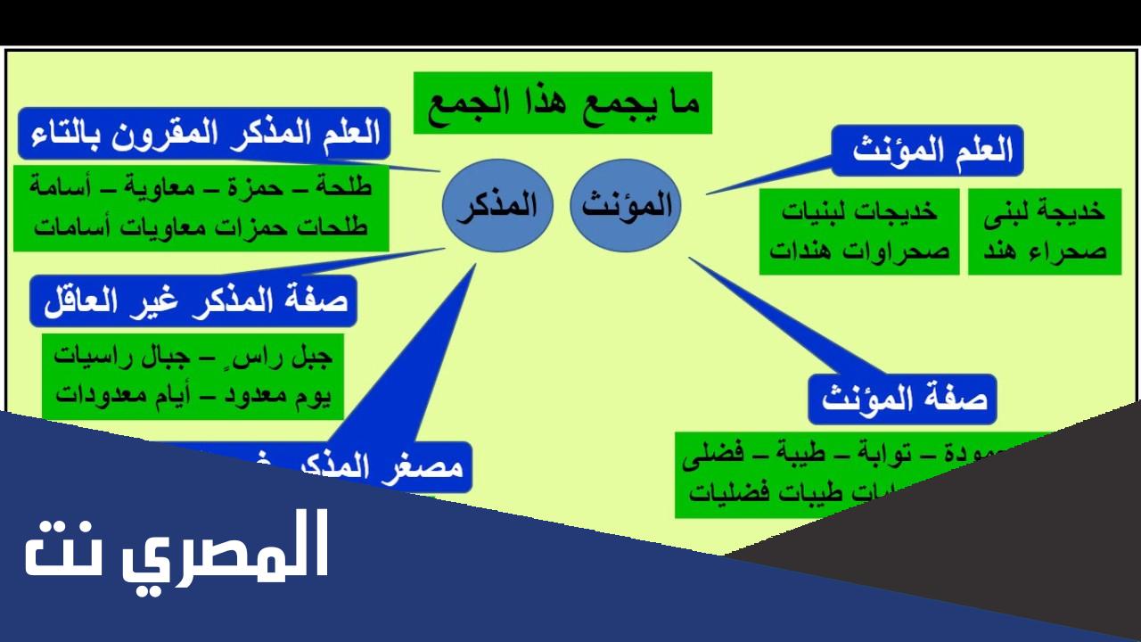 الفرق بين جمعي المذكر والمؤنث السالمين وملحقاتهما
