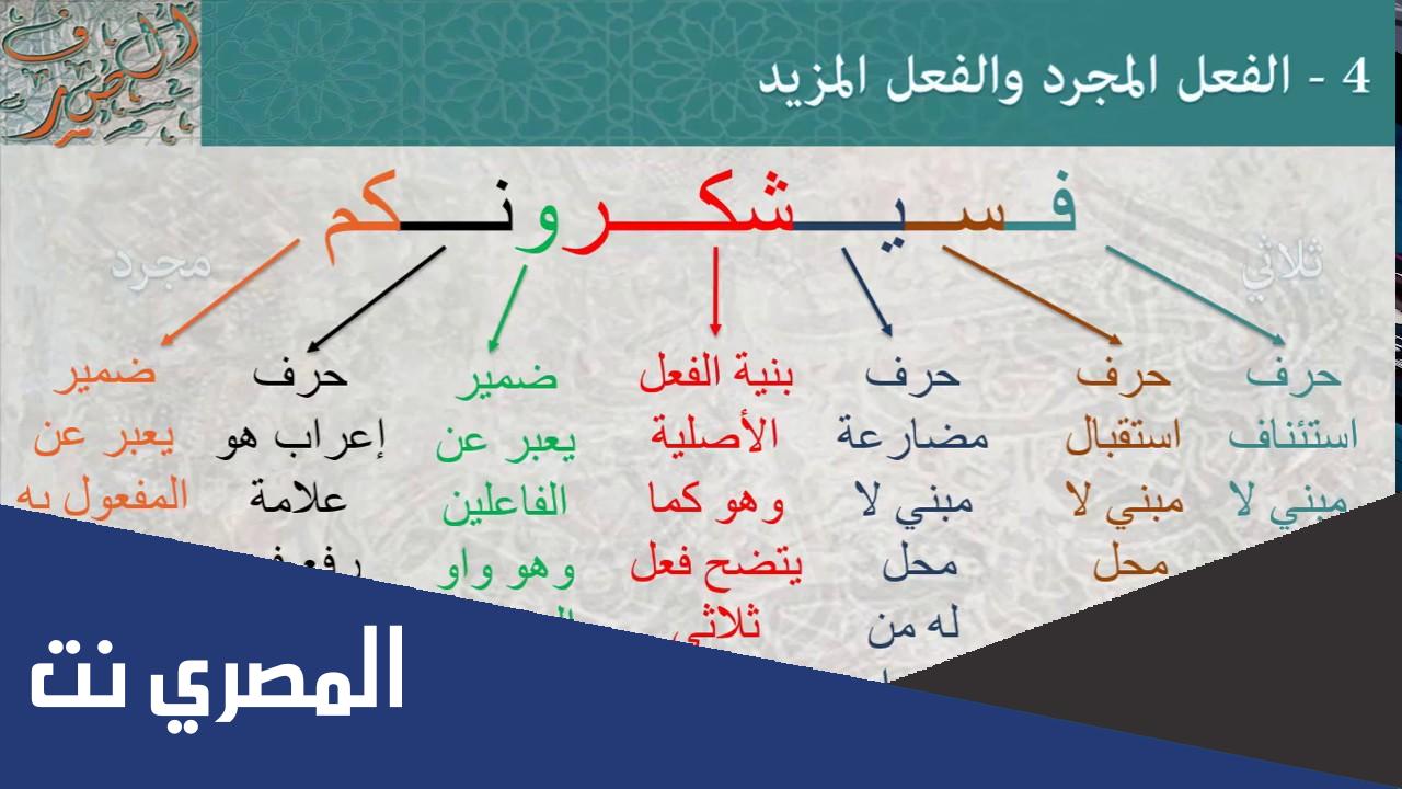 الفعل المجرد والمزيد من الافعال