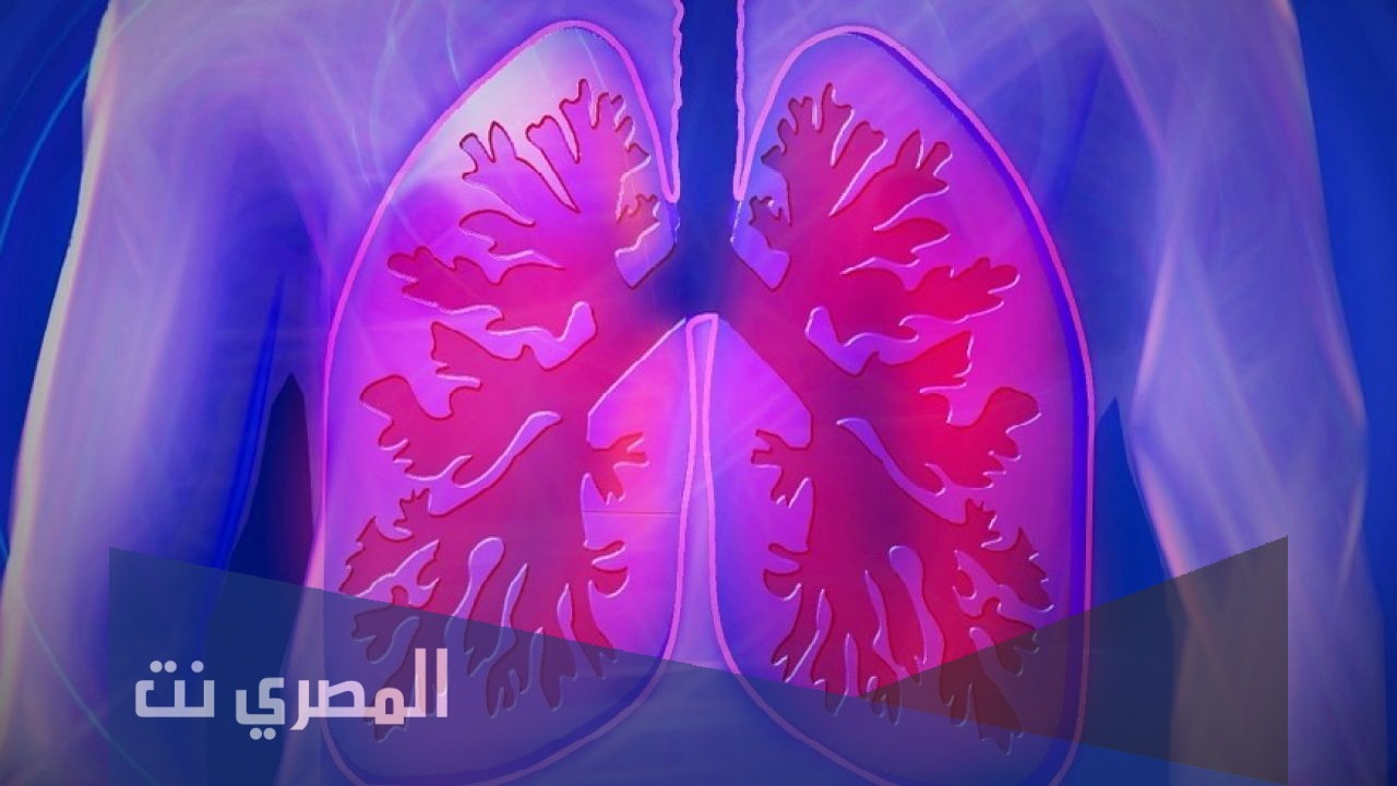 امراض الرئة وطرق الوقاية منها