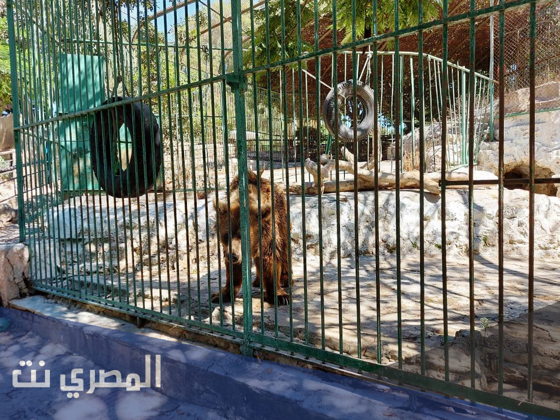 اهم معلومات عن حديقة حيوان الإسكندرية